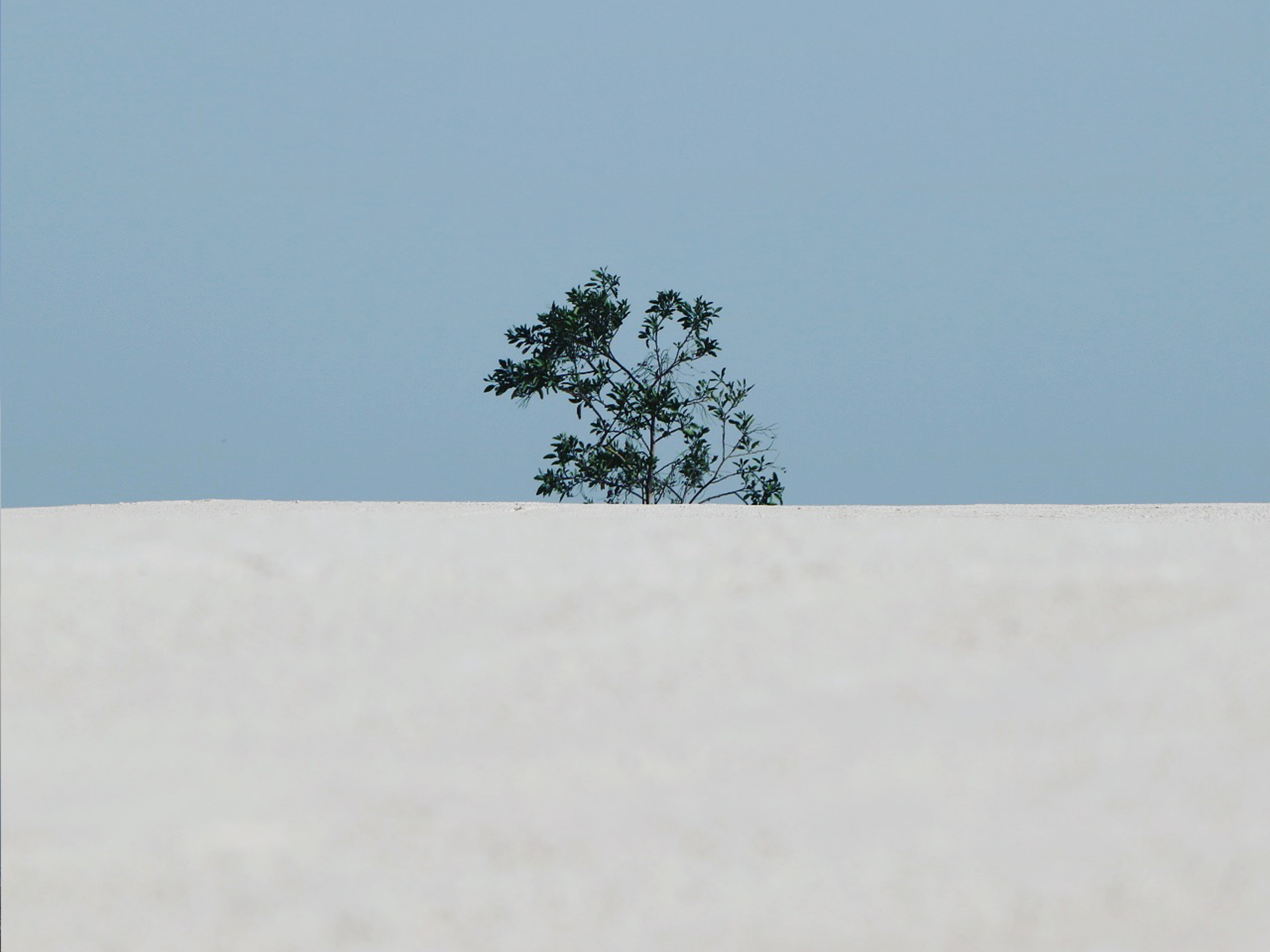 Dove c un desiderio, c la via per realizzarlo