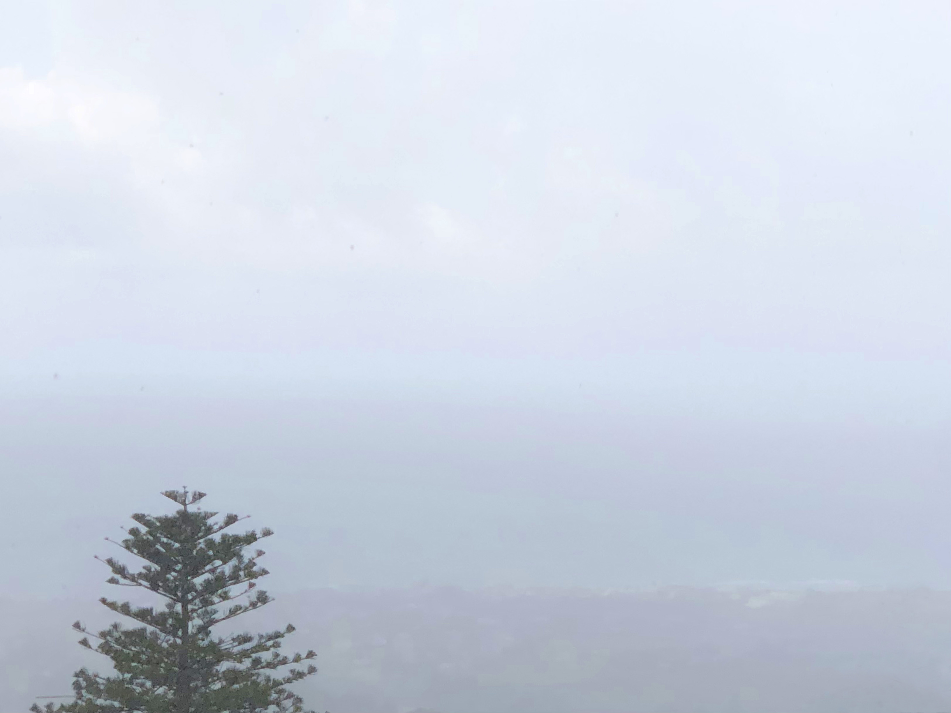 Fog -      | 5 2 2023