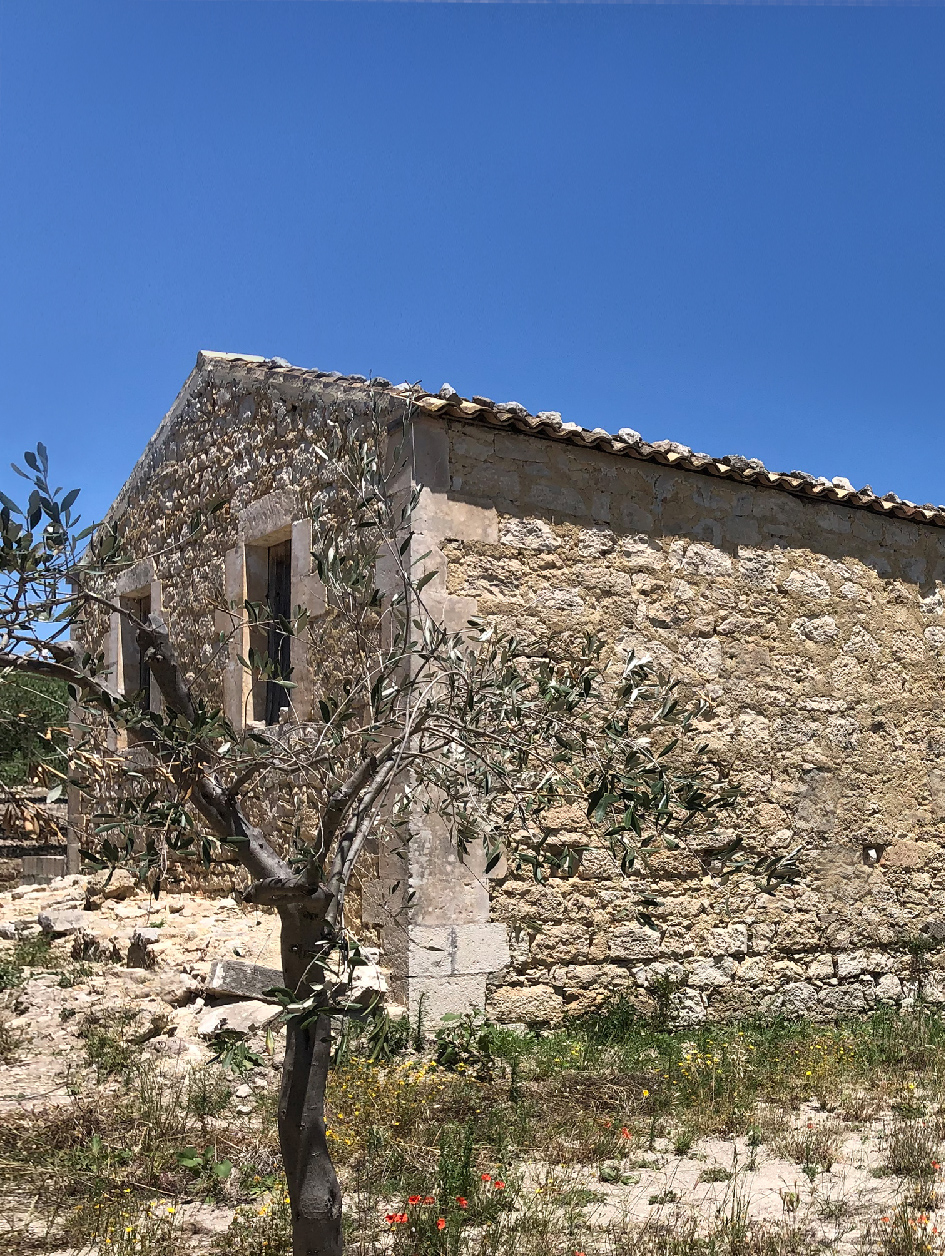 Palmento